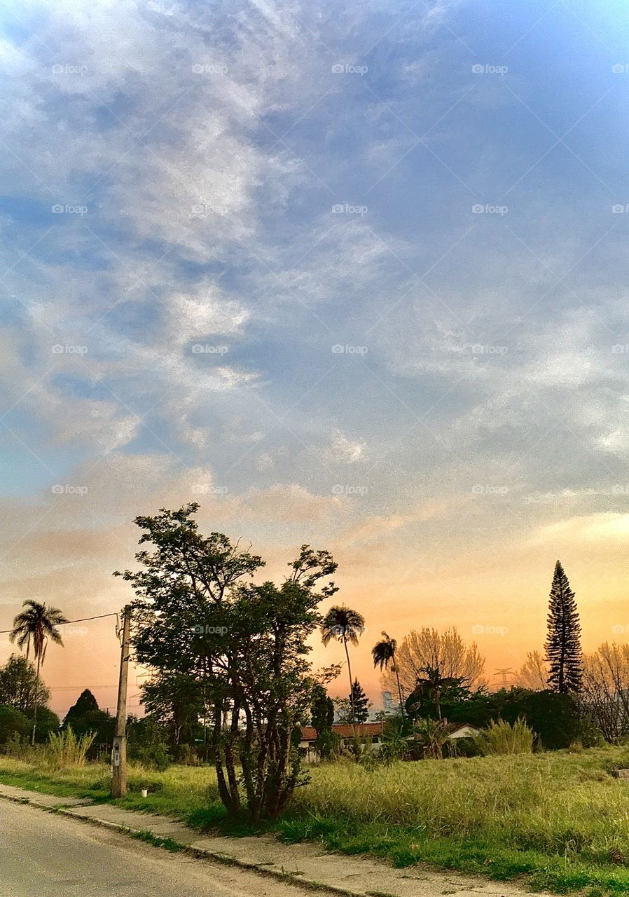 🌅Desperte, #Jundiaí.
Que a #QuintaFeira possa valer a pena!
🍃
#sol #sun #sky #céu #photo #nature #morning #alvorada #natureza #horizonte #fotografia #pictureoftheday #paisagem #inspiração #amanhecer #mobgraphy #mobgrafia 