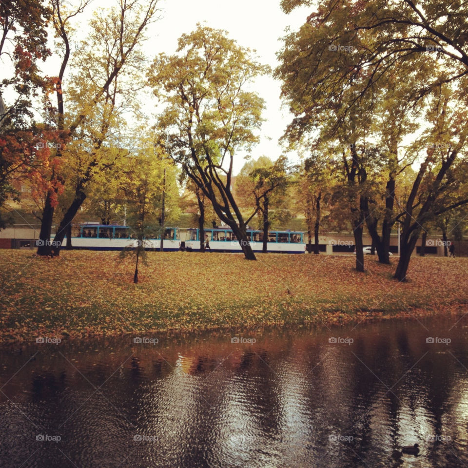 water tram garden nature by vikandr2007