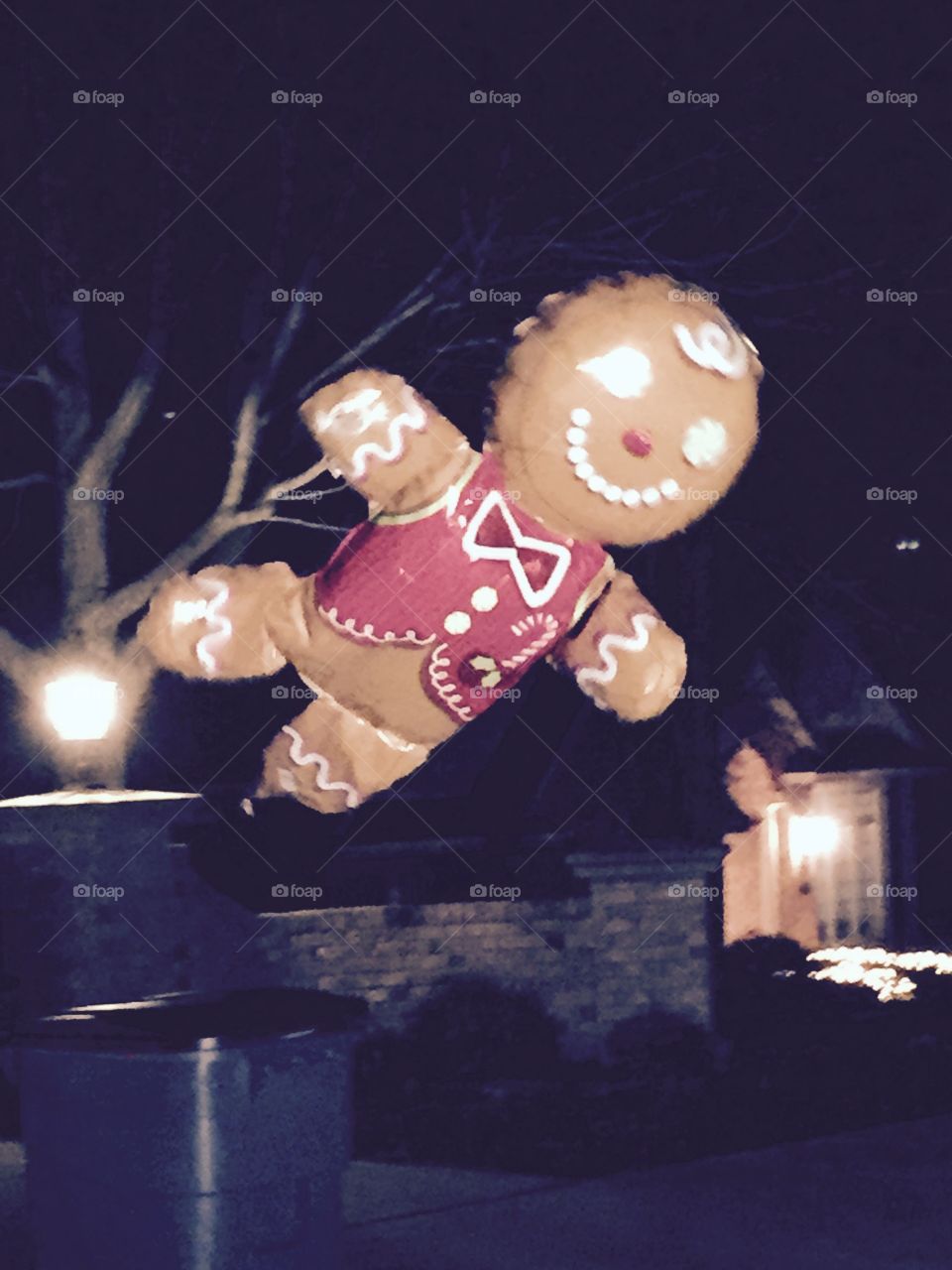 Gingerbread Man