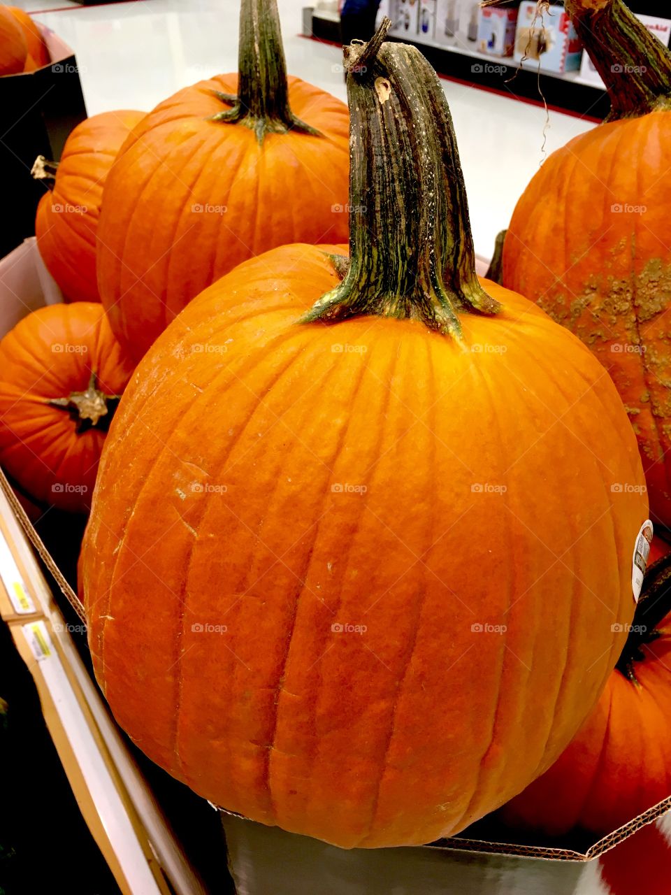 Pumpkin closeup