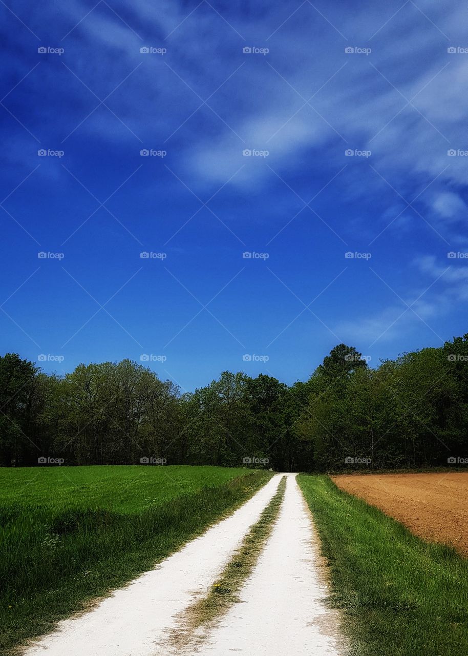 French farm