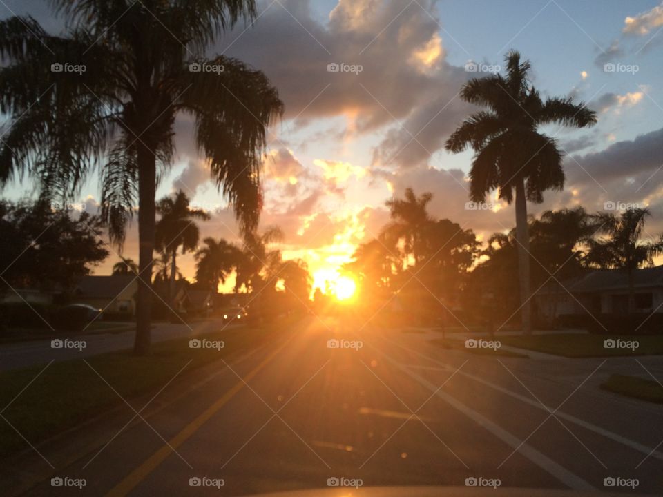 Silhouetted palm trees line the road less travelled during a beaming sunset in Naples, Florida. 