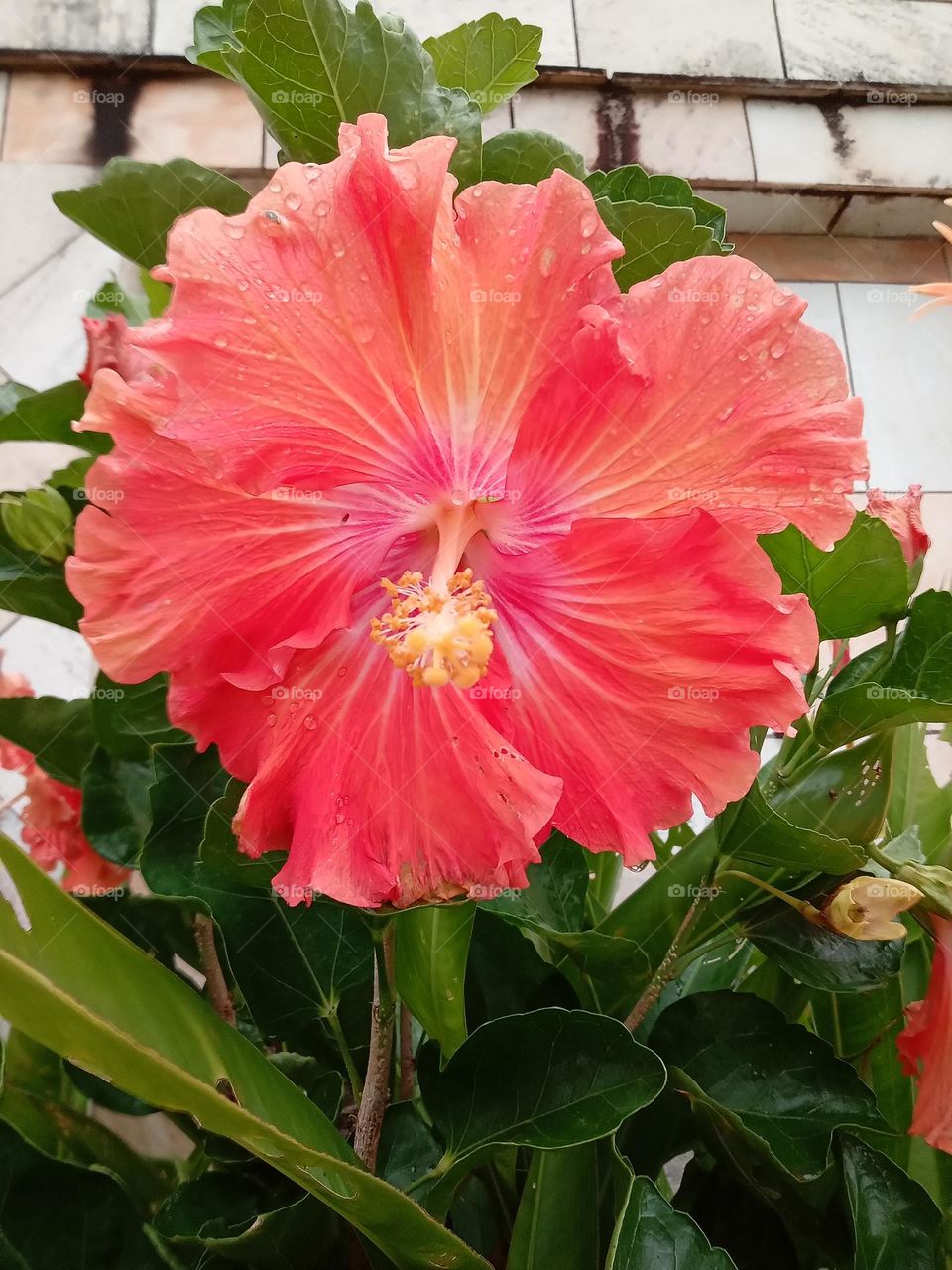 vibration of colors around us