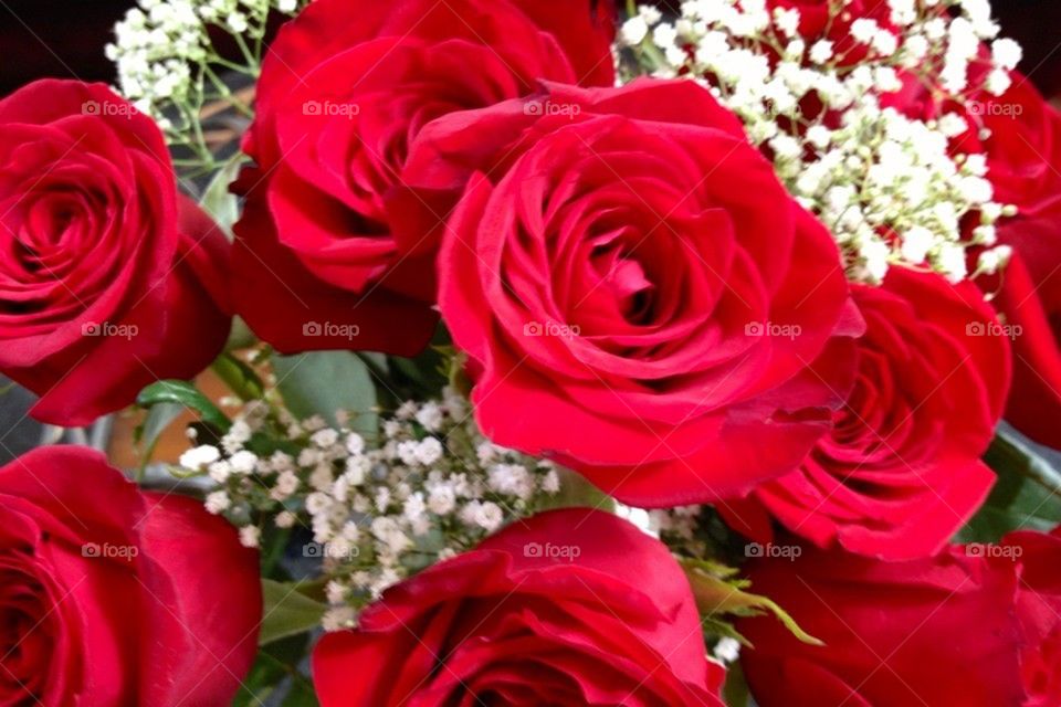 Red rose bouquet