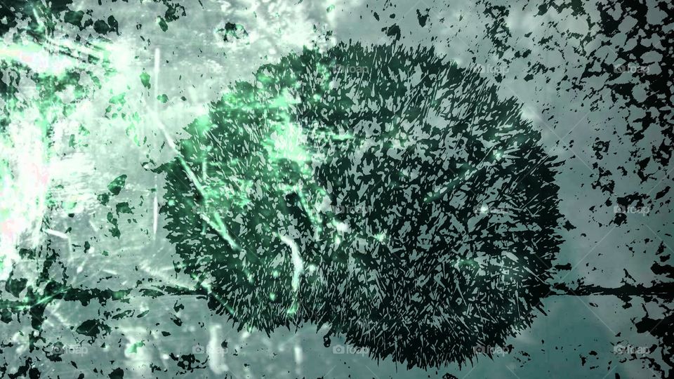 A thousand of spines, aouch ! !