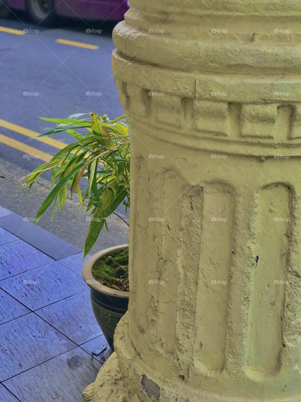 A yellow colour ancient designed pillar with great architecture,back of that a green bamboo plant with pot looks so beautiful 😍