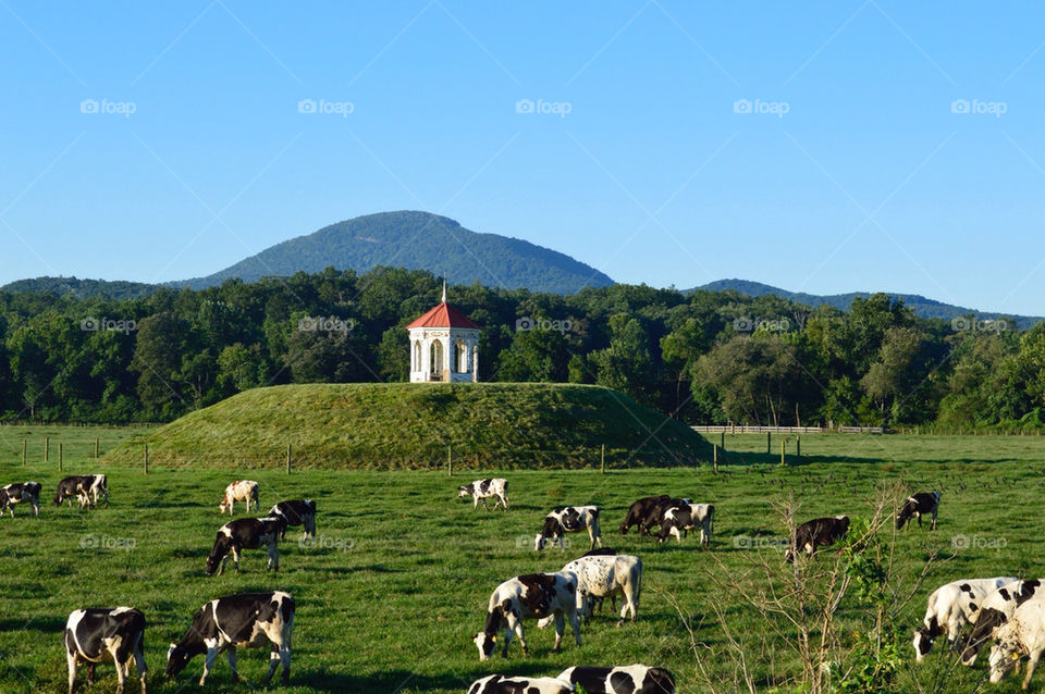 Indian mound