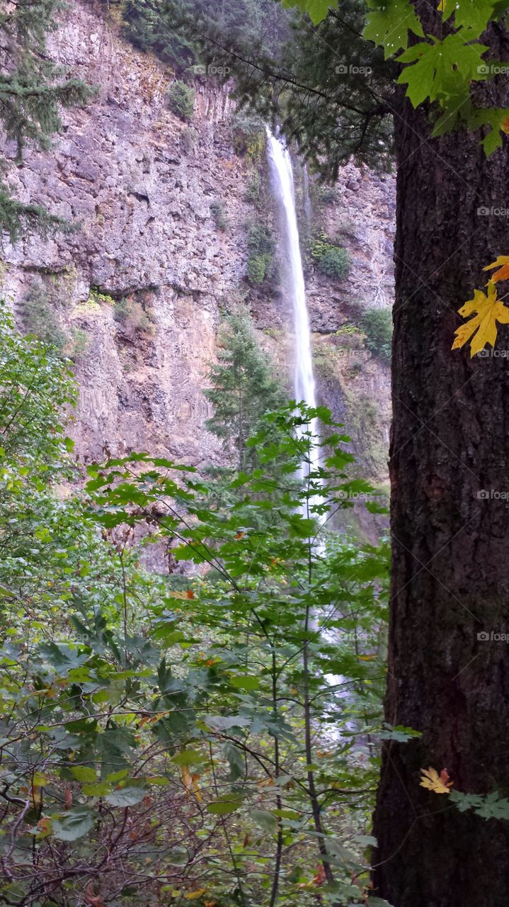 waterfall. Oregon