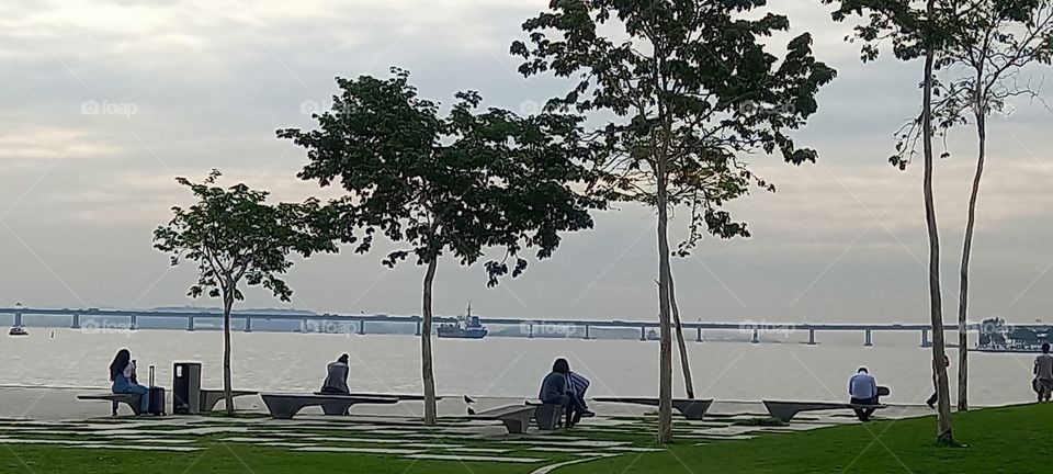 Tardes no Porto do Rio de Janeiro