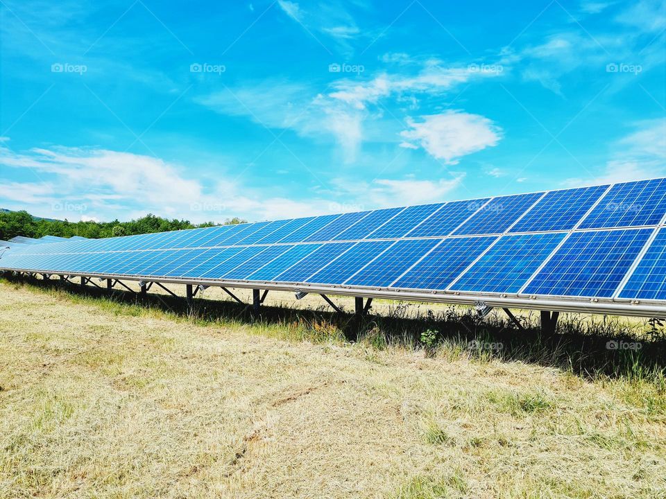 expanse of photovoltaic panels in a field