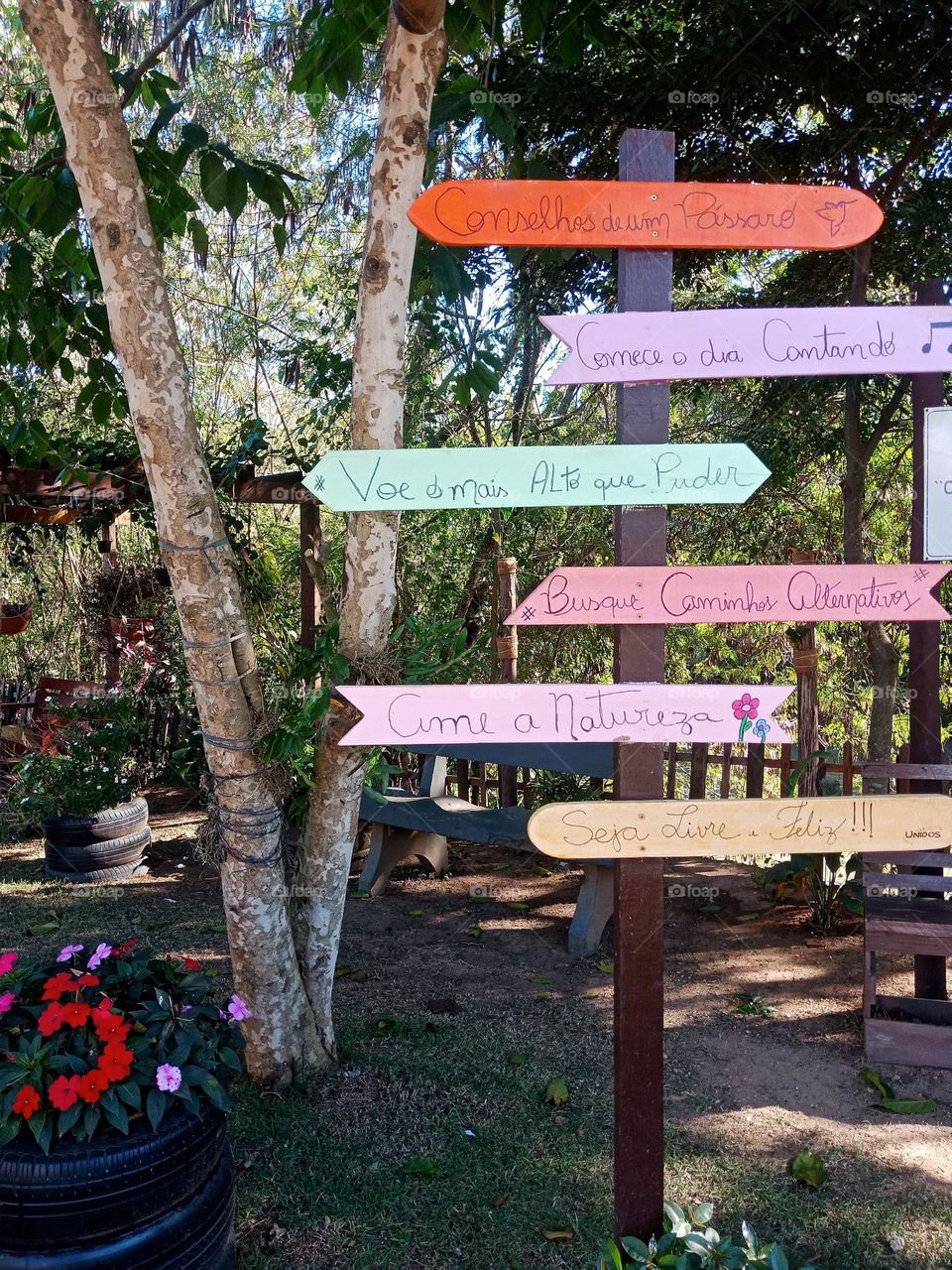 signs in a garden in front of a supermarket