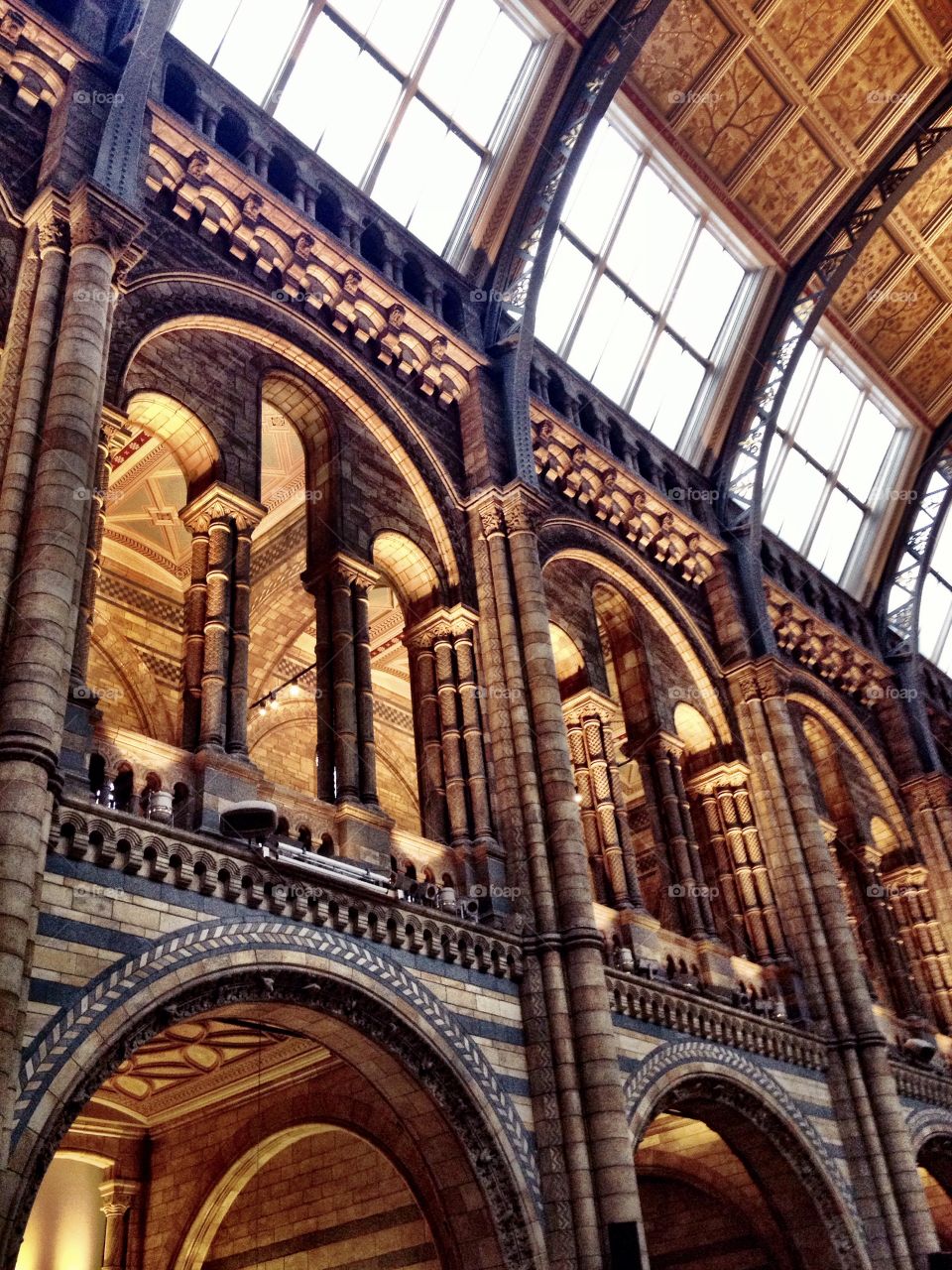 Interior del Natural History Museum. Interior del Natural History Museum (London - England)