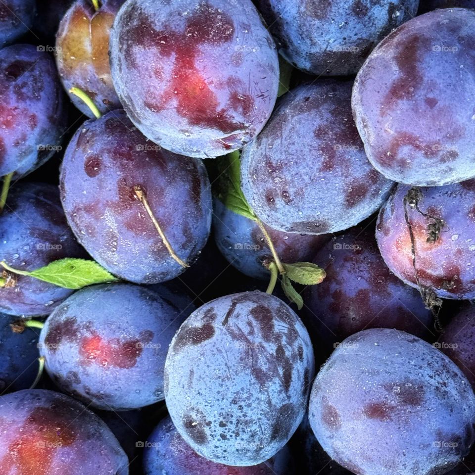 Plums