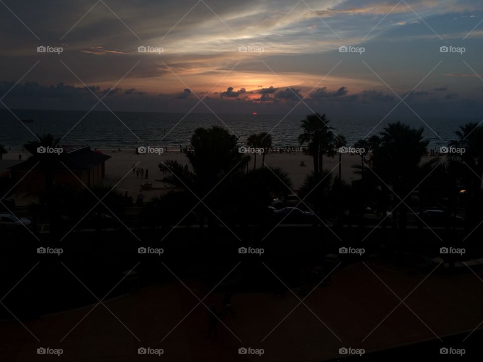 Beach, Sunset, Seashore, Tree, Evening