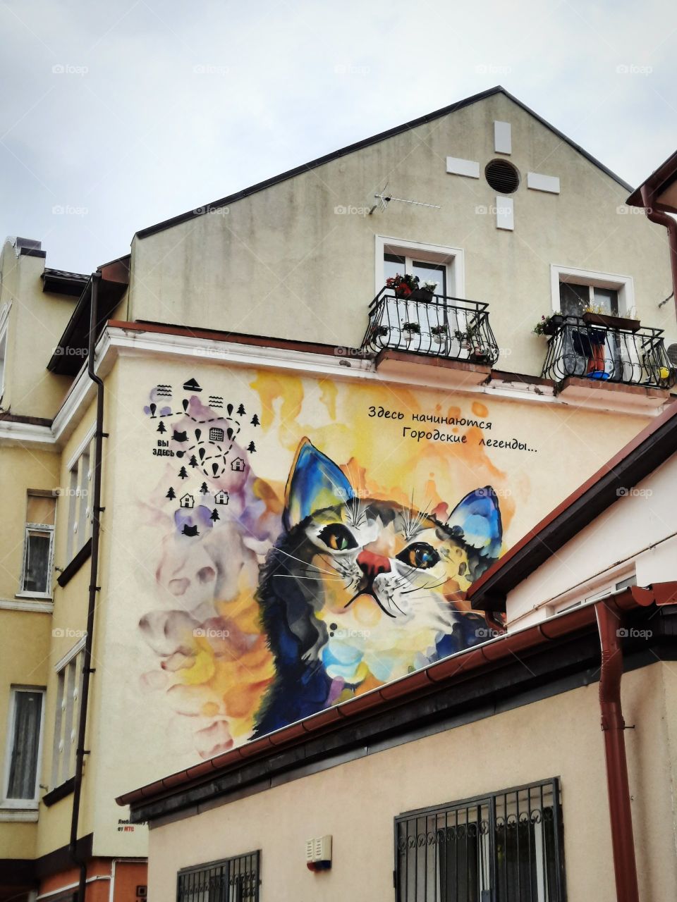 Graffiti of a cat in Zelenogradsk