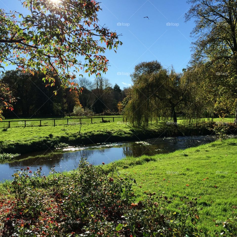 Beautiful view of park