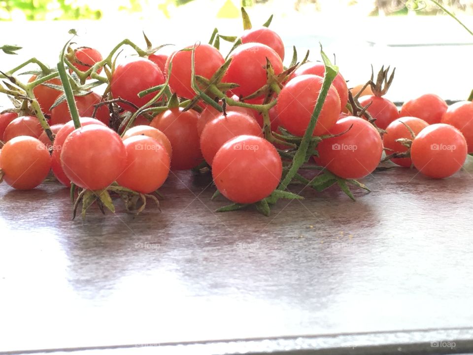 Fresh picked cherry tomatoes from the garden