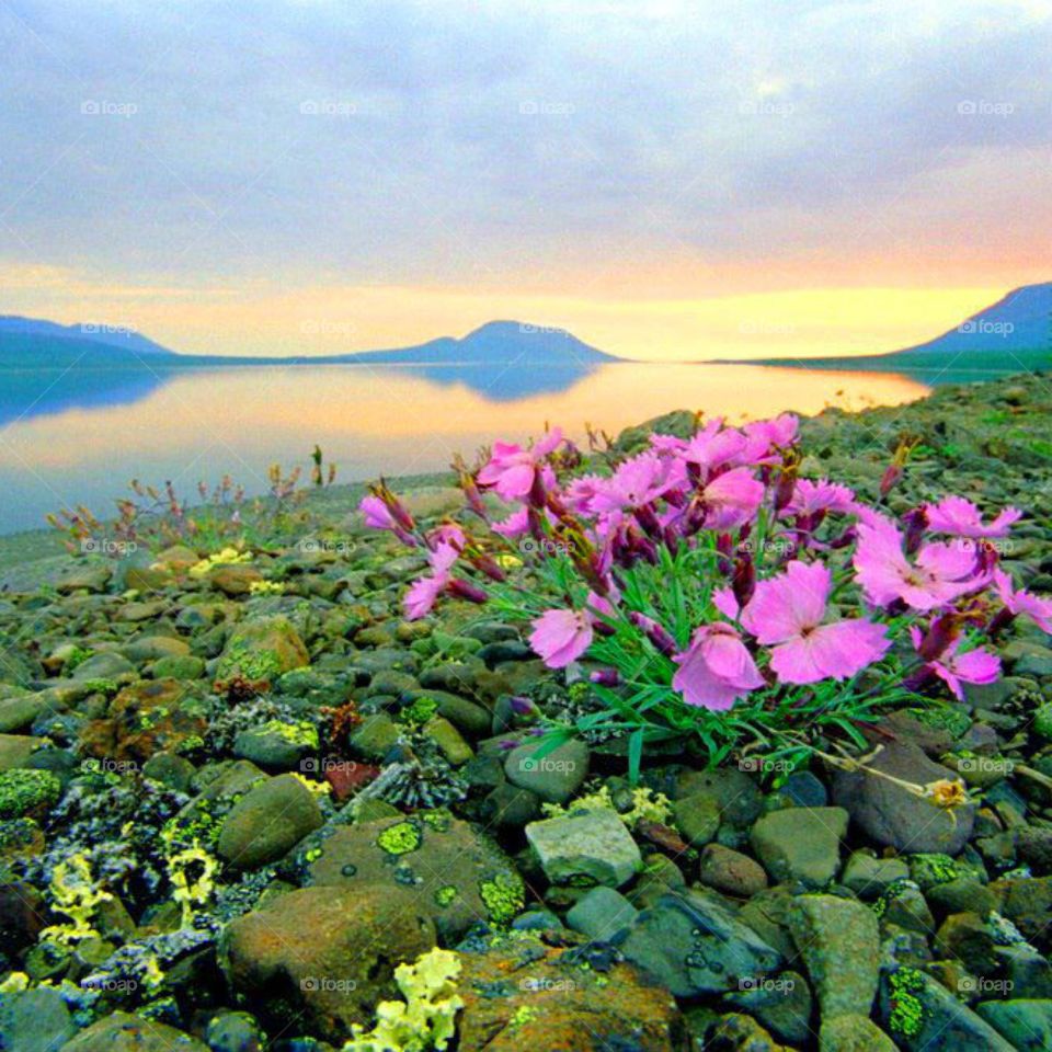 Природа, живописные места