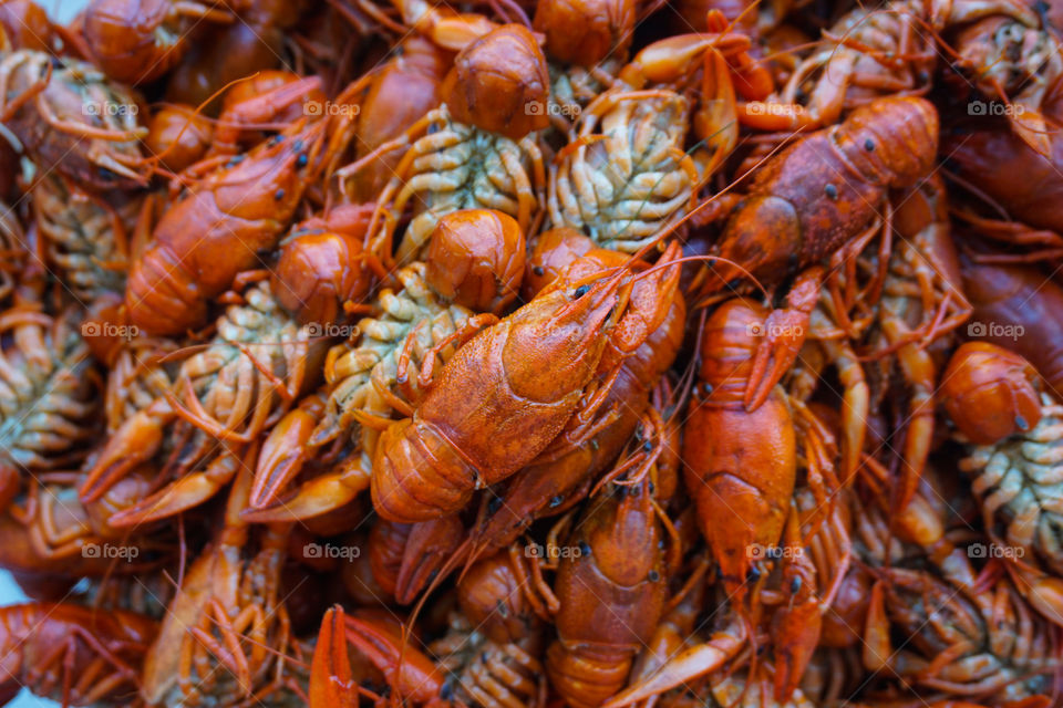 Pile of boiled red crawfish