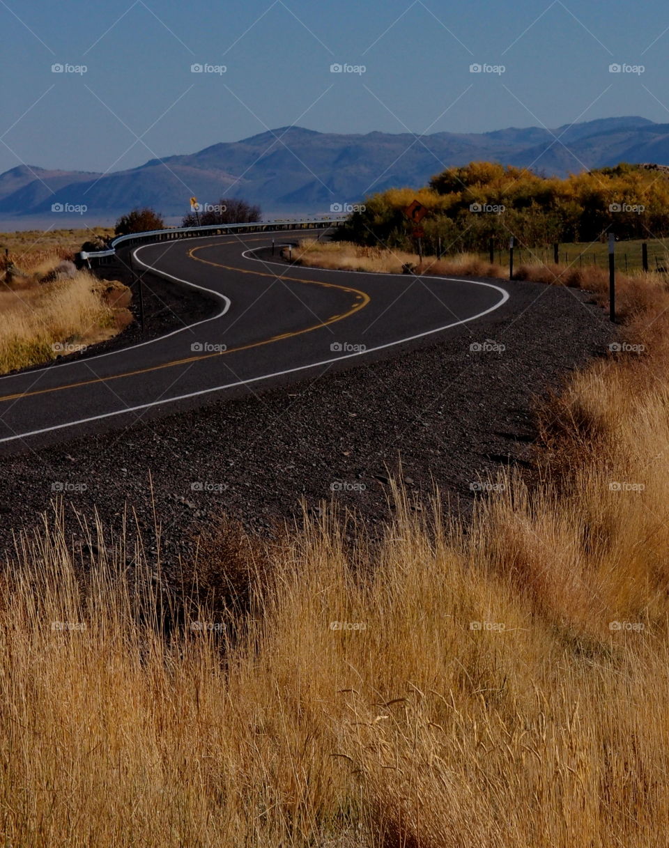 Empty road along with dry grass