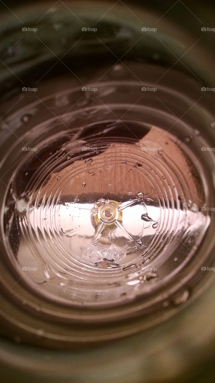 Life in a bottle. Photo from inside a water bottle