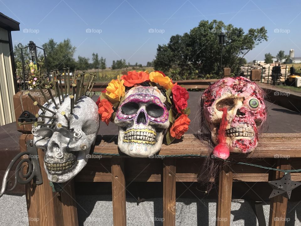 Three skulls I made