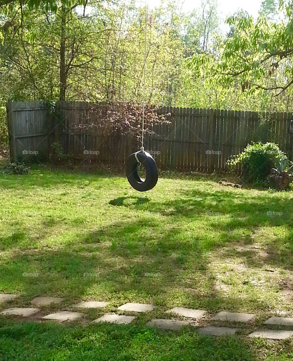 Our backyard in the throes of spring or summer, is a green oasis for the adults and the kids to play giving us many memories of swinging on a tire swing, corn hole games played, horseshoes and sitting under the green shady trees.