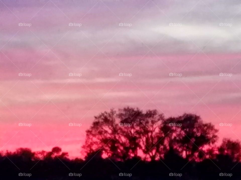 Beautiful sunset. Colors reflect against the clouds as the sun sets and creates a exquisite treeline.
