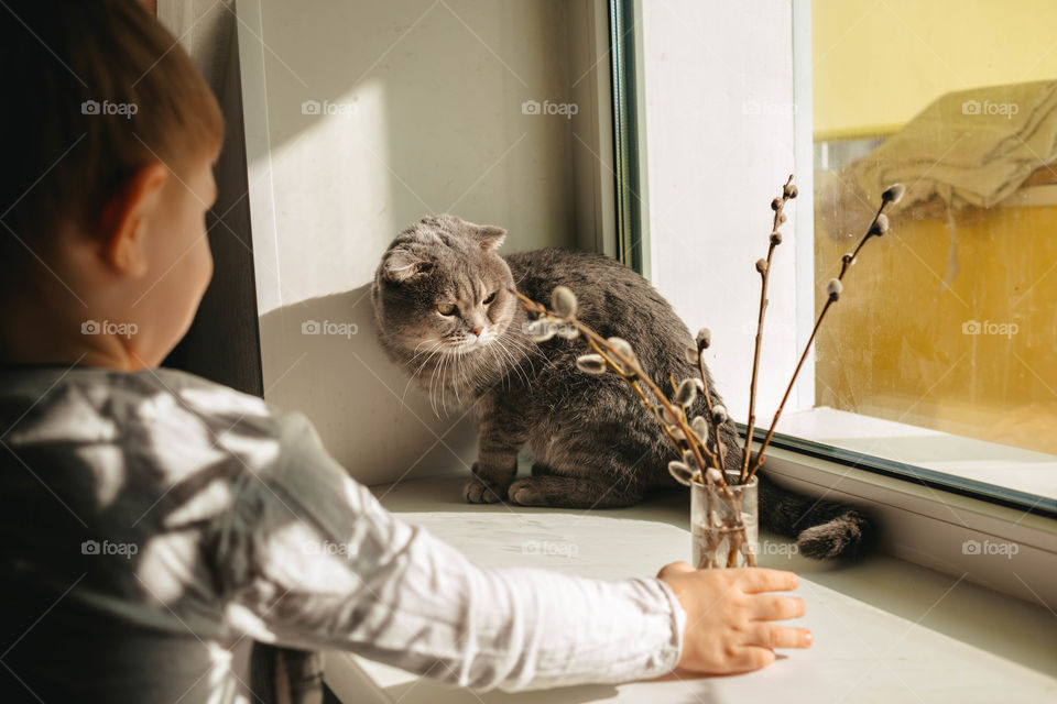 child plays with a cat