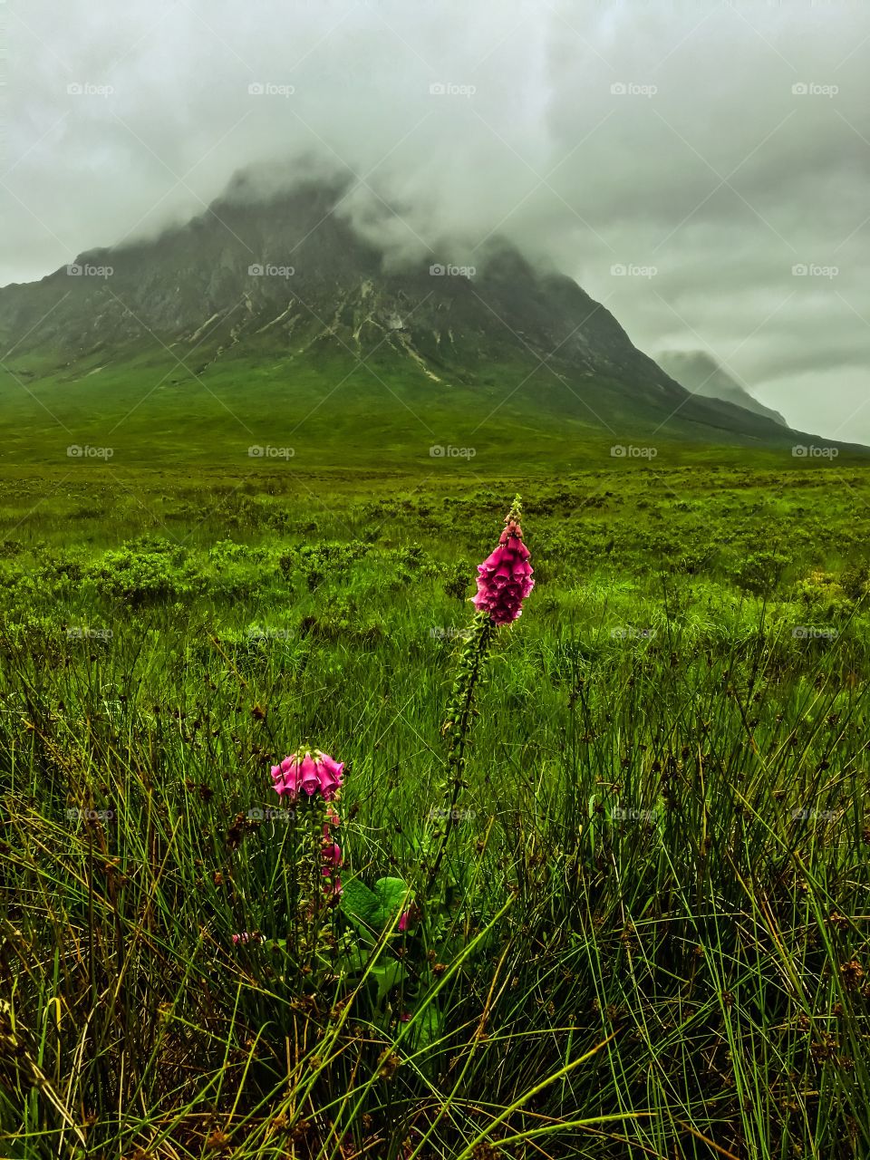 Highlands Landscape Glencoe scotland 