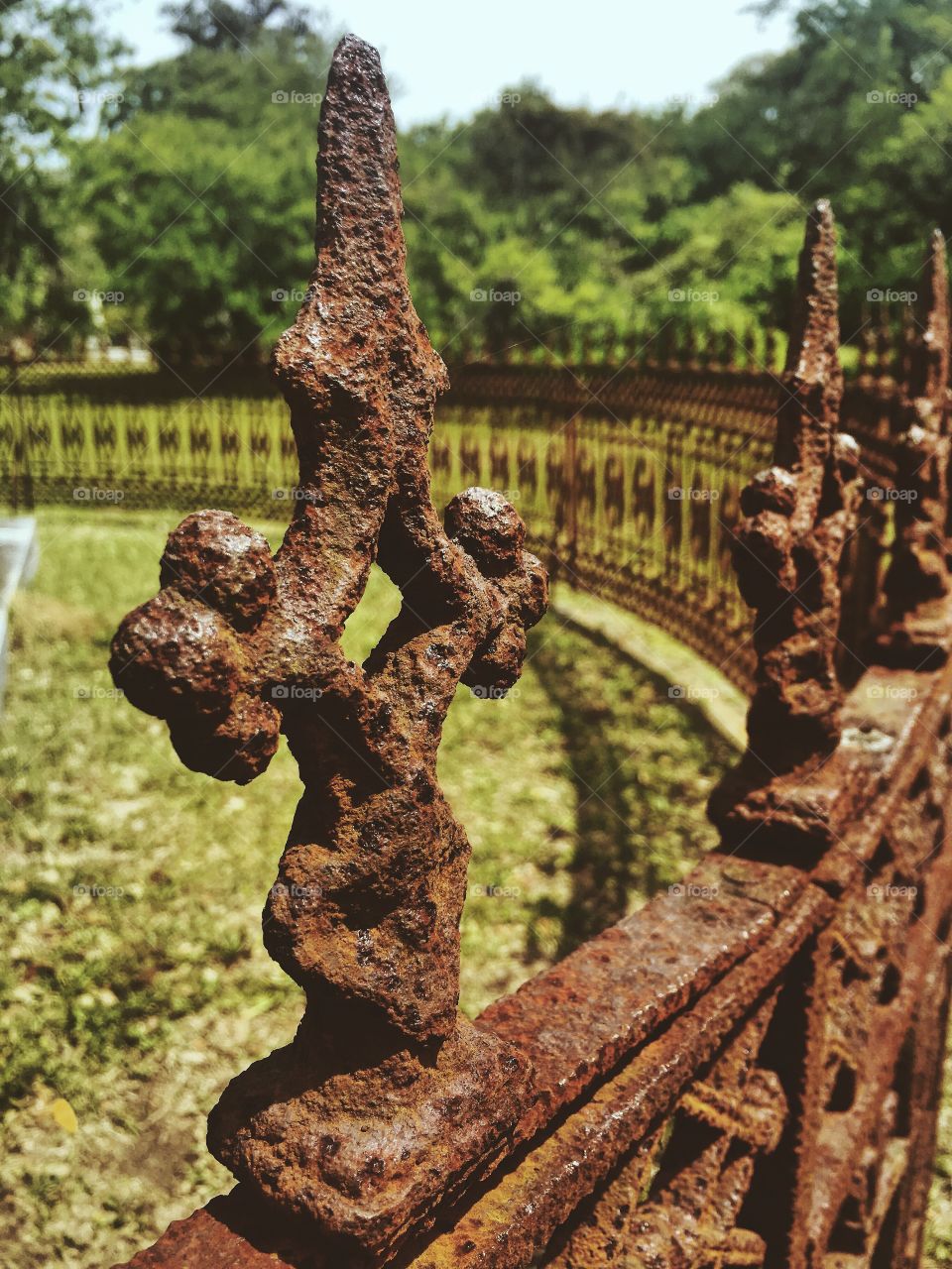 Iron Work in Magnolia Cemetery 