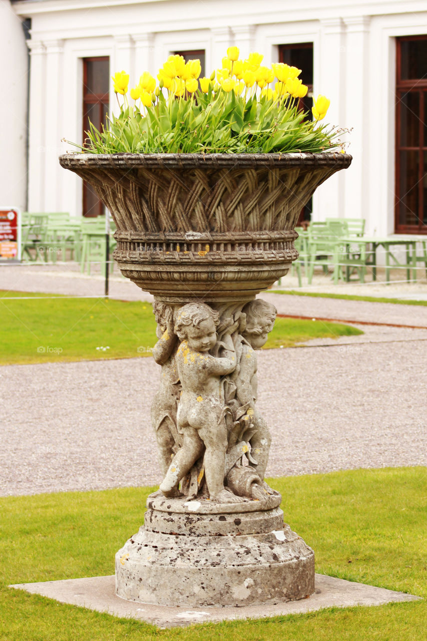 Beautiful flower pot ;)