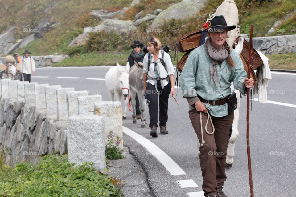 Mountain People Leading Mules On The Swiss Alps