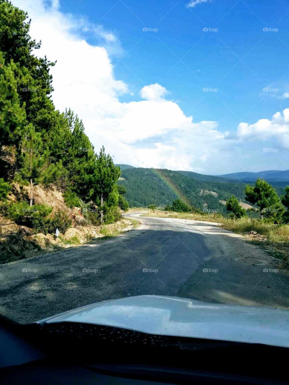 road ın Turkey , forest
