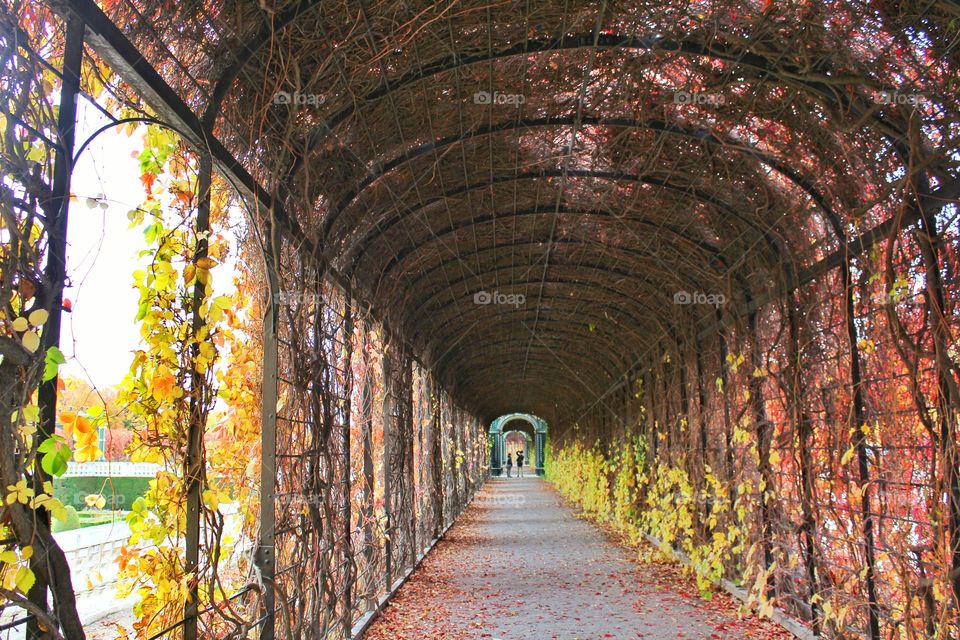 An amazing tunnel in Schönbrunn Palace in Vienna