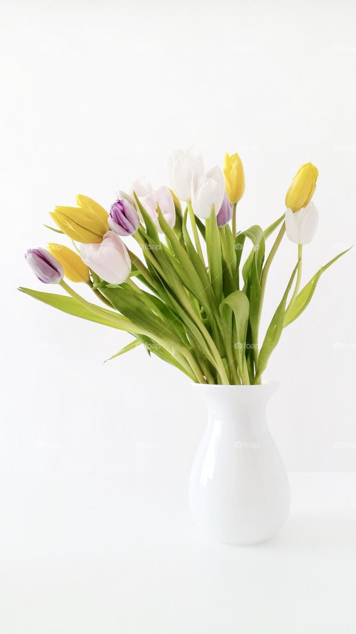 Flowers in the vase