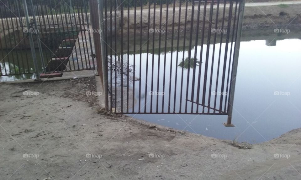 Broken Irrigation
 Fence