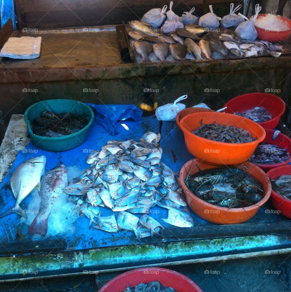 fish market in Kerala