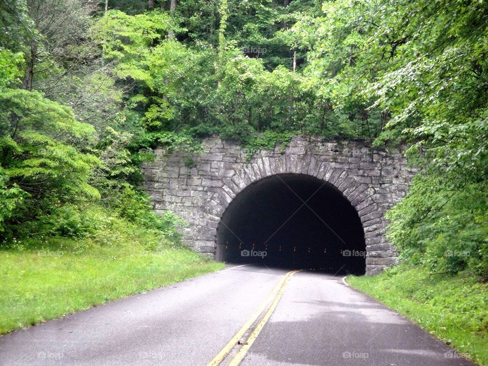 View of tunnel surrounded by trees
