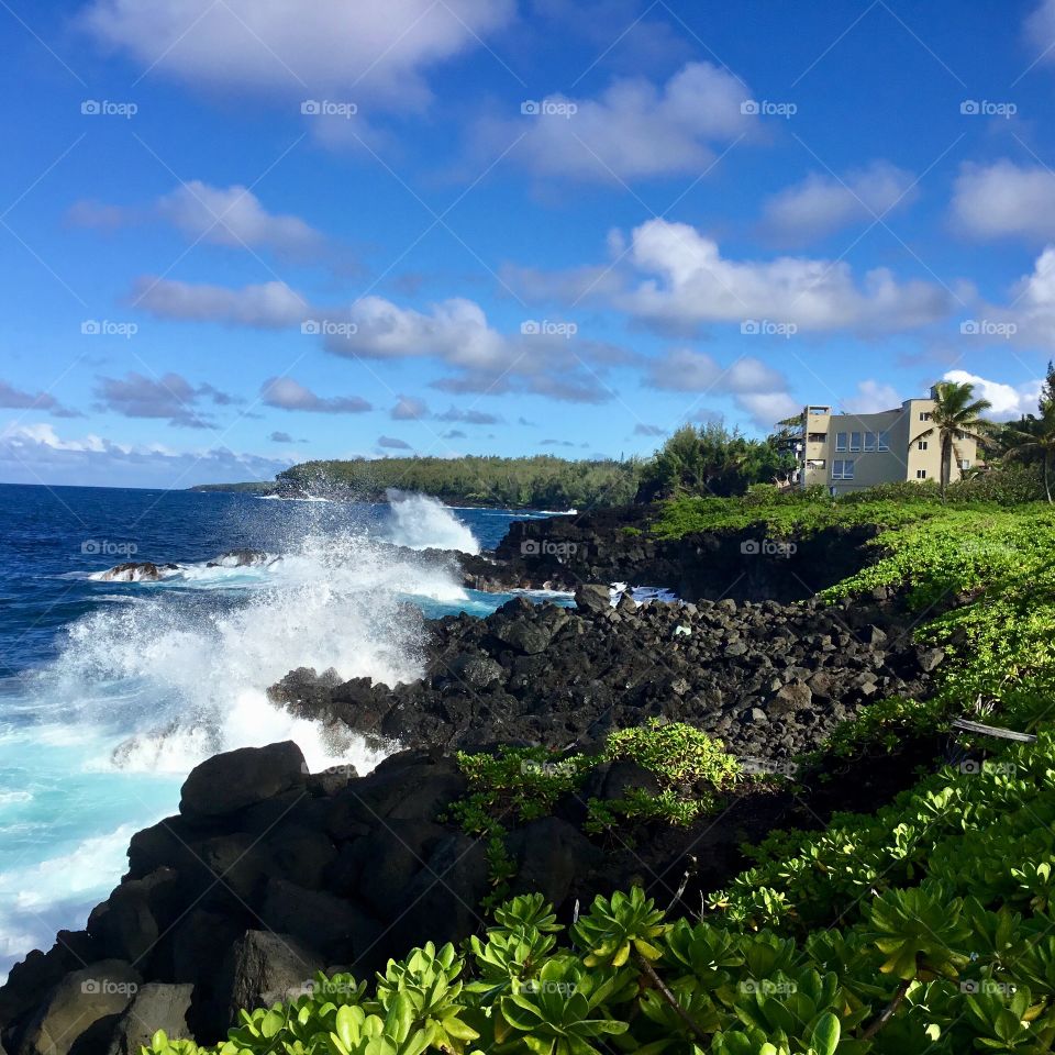 On the east shoreline of the Big Island of Hawaii in the Puna District 