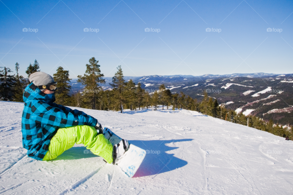 snow winter green sweden by comonline