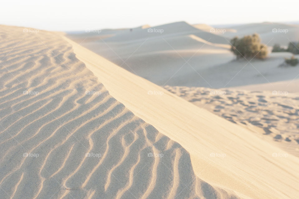 Sand composition (Maspalomas, Gran Canaria)