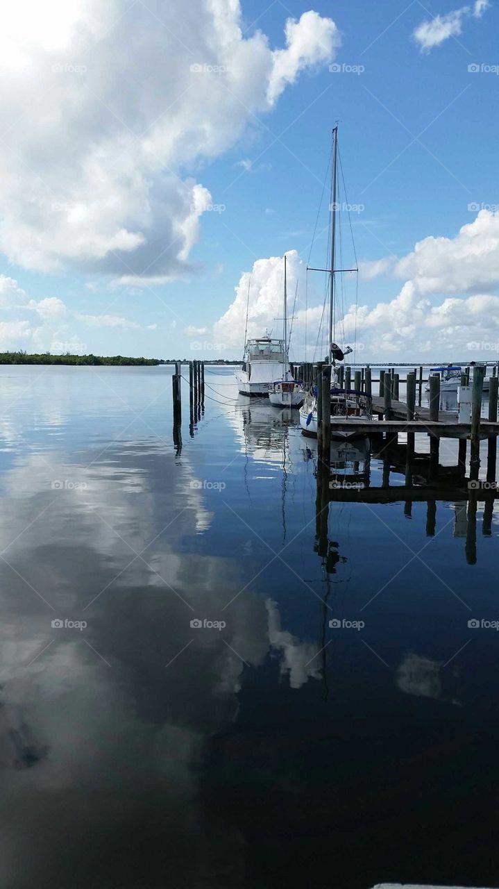 Marina Reflection