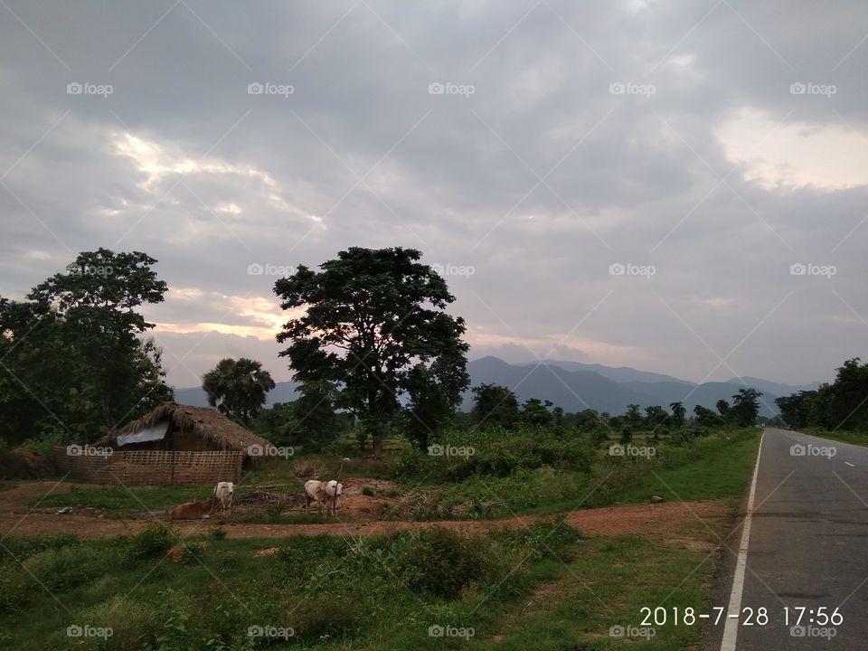 some of stay infront of home