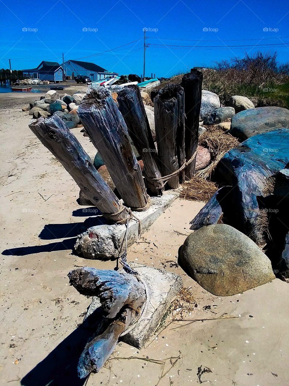 driftwood of old pier