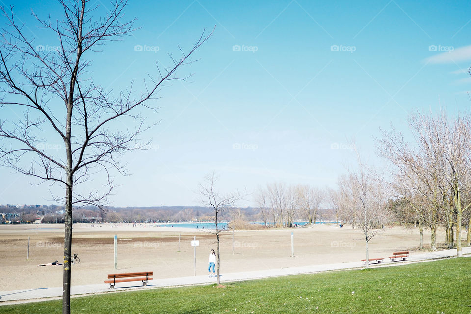 lovely walk on a winter day