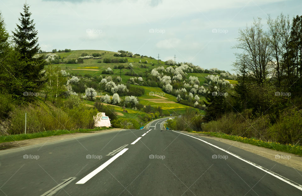 Road in Karpatian mountains, Ukraine