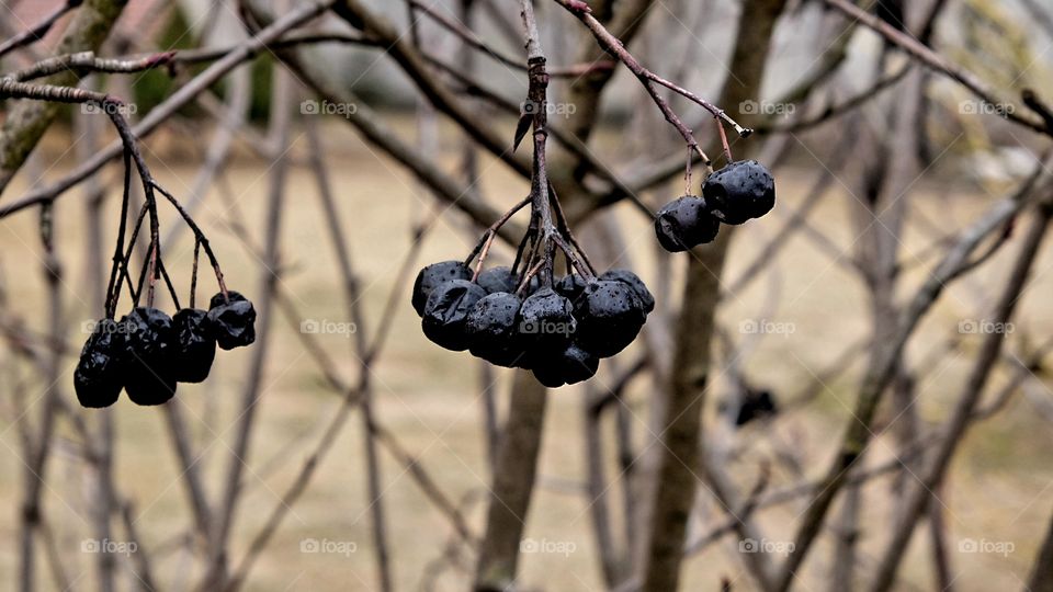 the beginning of spring