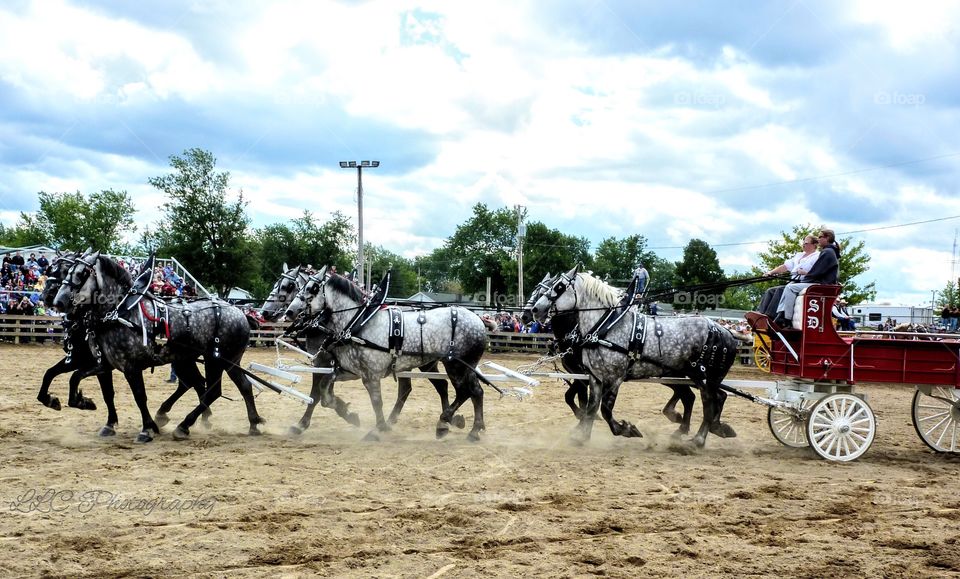 Canfield Fair in Ohio