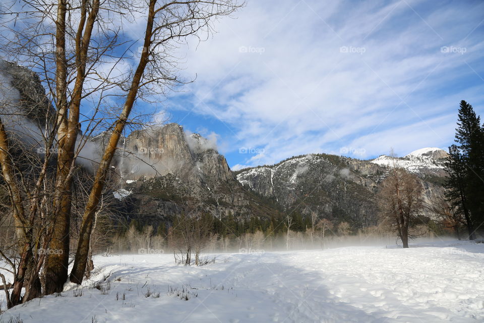 Snow, Winter, Cold, Frost, Ice